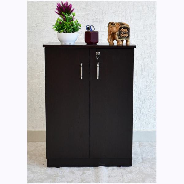 Seth Two Door Cabinet/Shoe Rack - Four Compartments - Image 24
